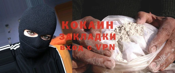 молекула духа Бородино