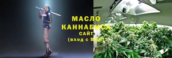 молекула духа Бородино