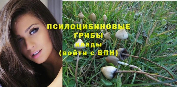 кокаин Богородицк