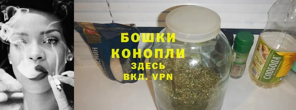 молекула духа Бородино