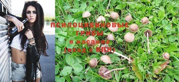 кокаин Богородицк