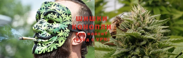 молекула духа Бородино