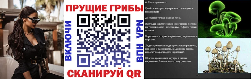 Галлюциногенные грибы мицелий  Купить где  Нелидово 